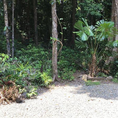Forest Views Diwan المظهر الخارجي الصورة